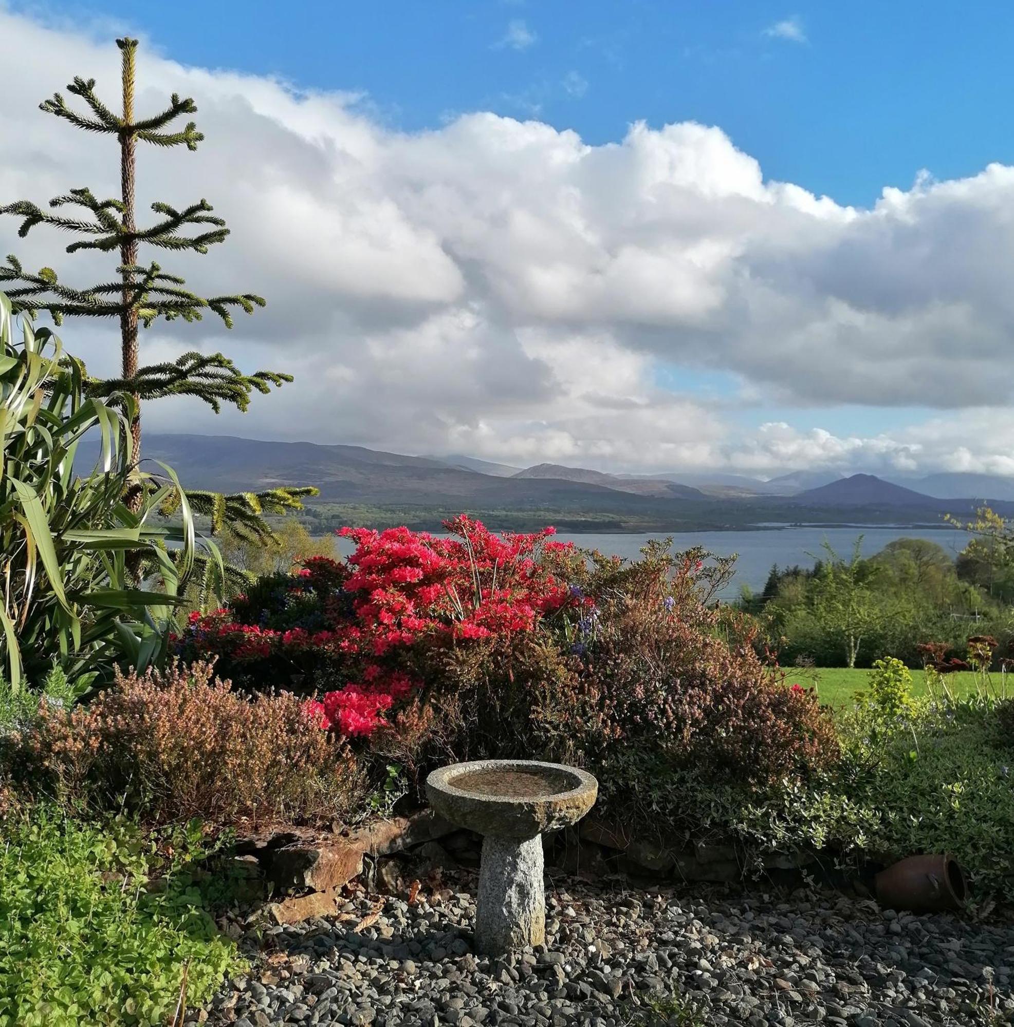 Valhalla Bnb Kenmare Exterior photo